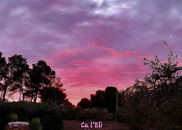Ca L'eli Different Experience Hutt 12157 Mont-roig del Camp